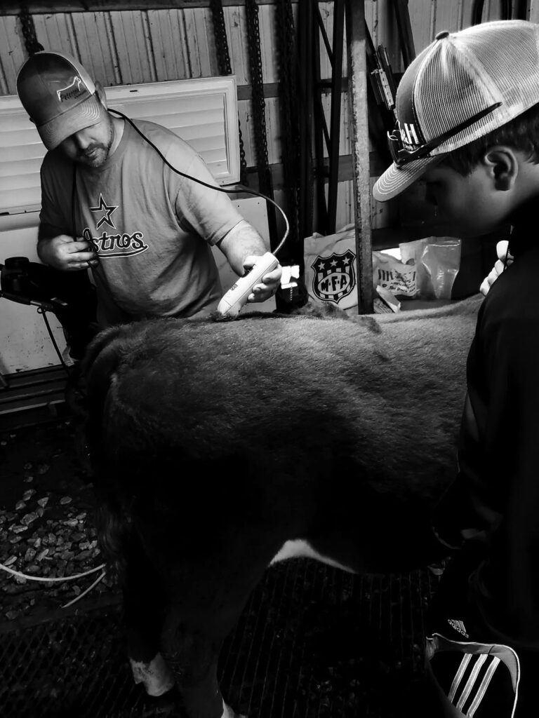 “The Same Beef We Feed Our Family” is the slogan of 7P Farms, a family-owned and -operated farm just outside of Mountain Grove, Mo. Contributed Photo. 