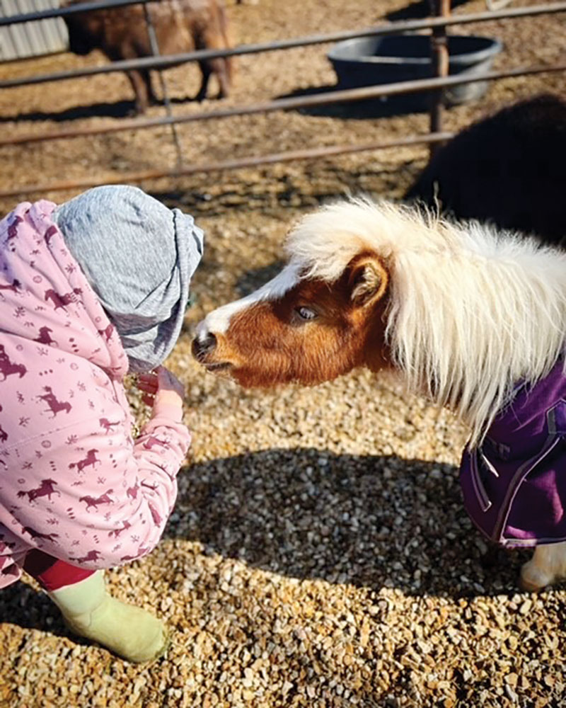 Less than a mile from the scenic bank of the James River, just outside of Nixa, Mo., is Redemption Ranch Therapy Horses. Contributed Photo. 