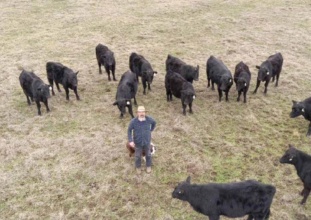 Mike Reed returned in Arkansas in 2012. He purchased a farm and some cows, and began a partnership with his father, William Reed. Contributed Photo. 