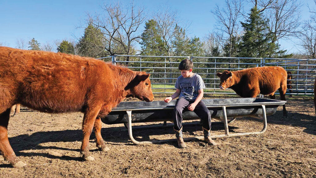 Health protocols at Cedar Valley Farm are comprehensive; a broad-spectrum, long-range dewormer is utilized to combat parasites effectively. Contributed Photo. 