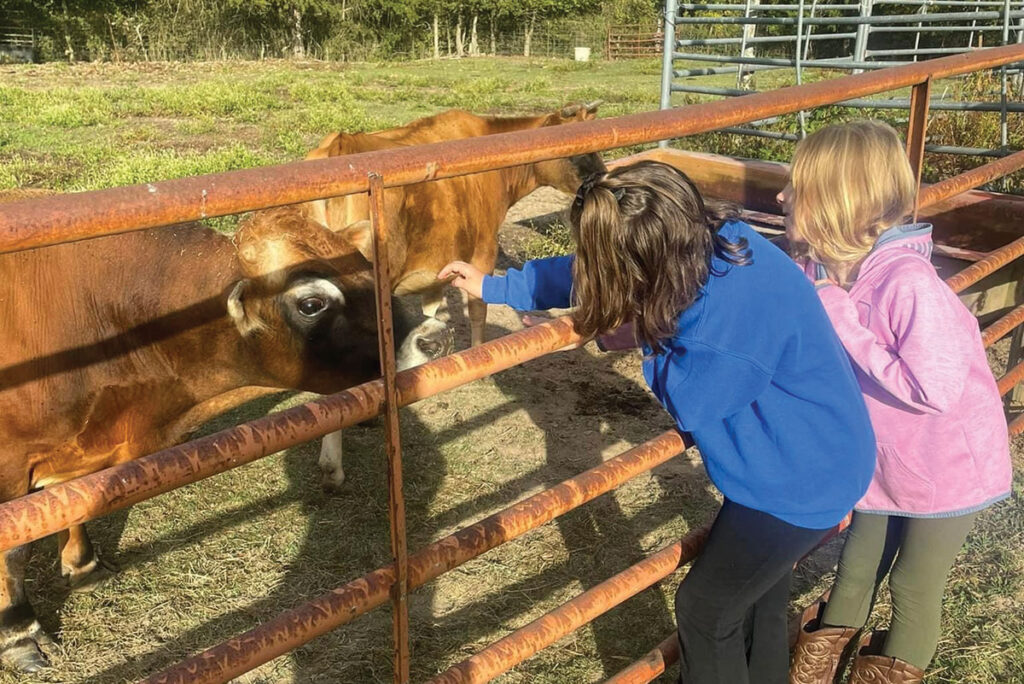 According to the Spencers, there are so few dairy farms in the area, partly because of the constant work required and the finances involved in running a dairy farm compared to a farm that strictly produces beef. Contributed Photo. 