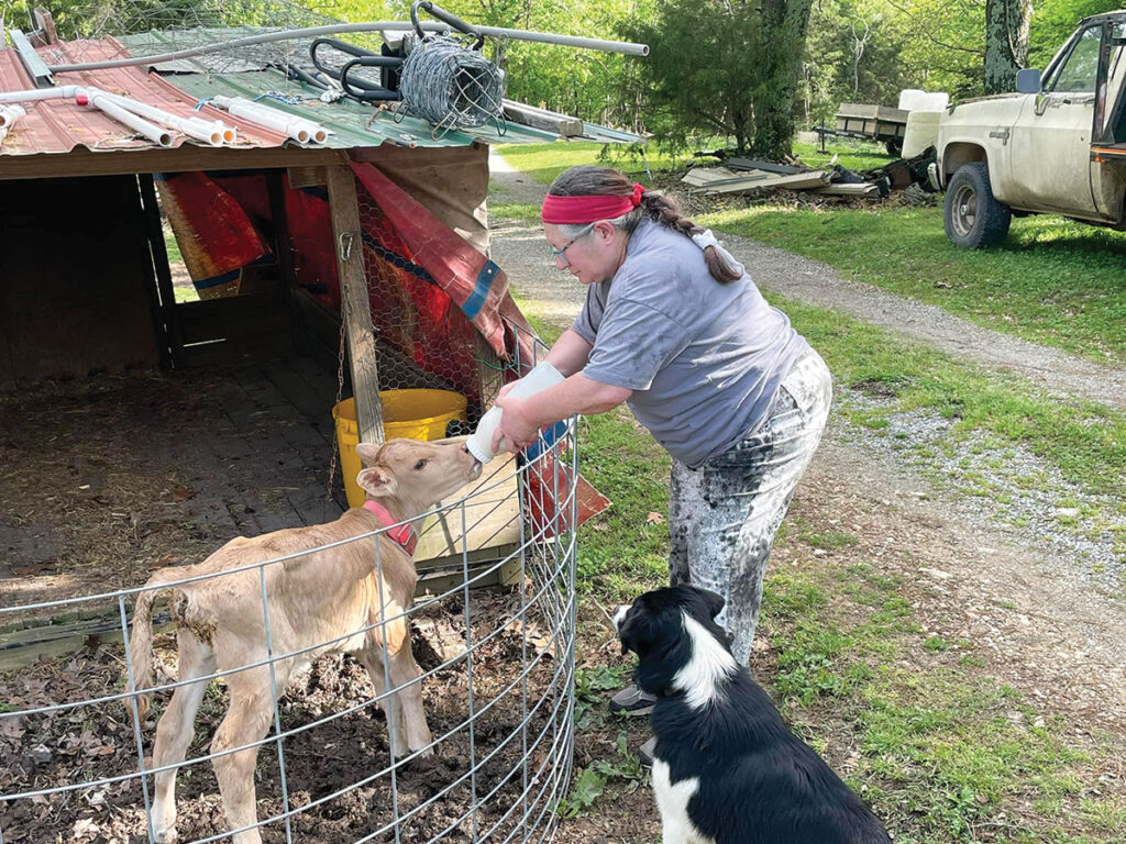 They already had some dairy cattle they milked for personal use for about four or five years before the Arkansas laws changed to allow limited consumer selling. Contributed Photo. 