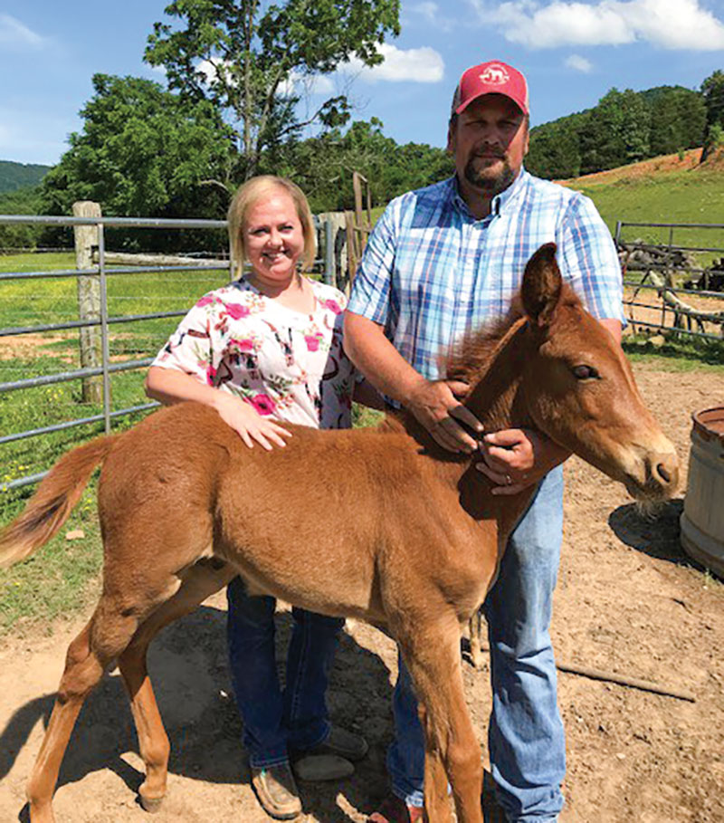 Together, Chrystal and Shawn run Shop Creek Mules & More. Contributed Photo. 