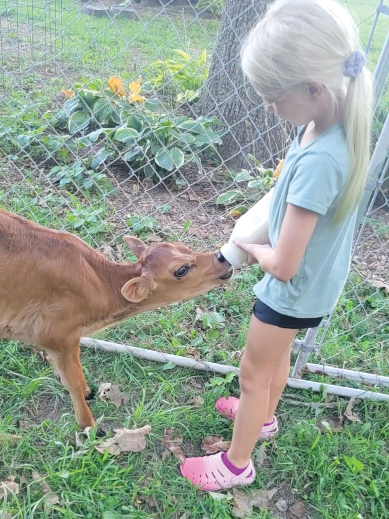 Shannon credits Jared and his family, who have a cow/calf operation and row crops, with the opportunity to keep her love of dairy cattle alive. Contributed Photo. 