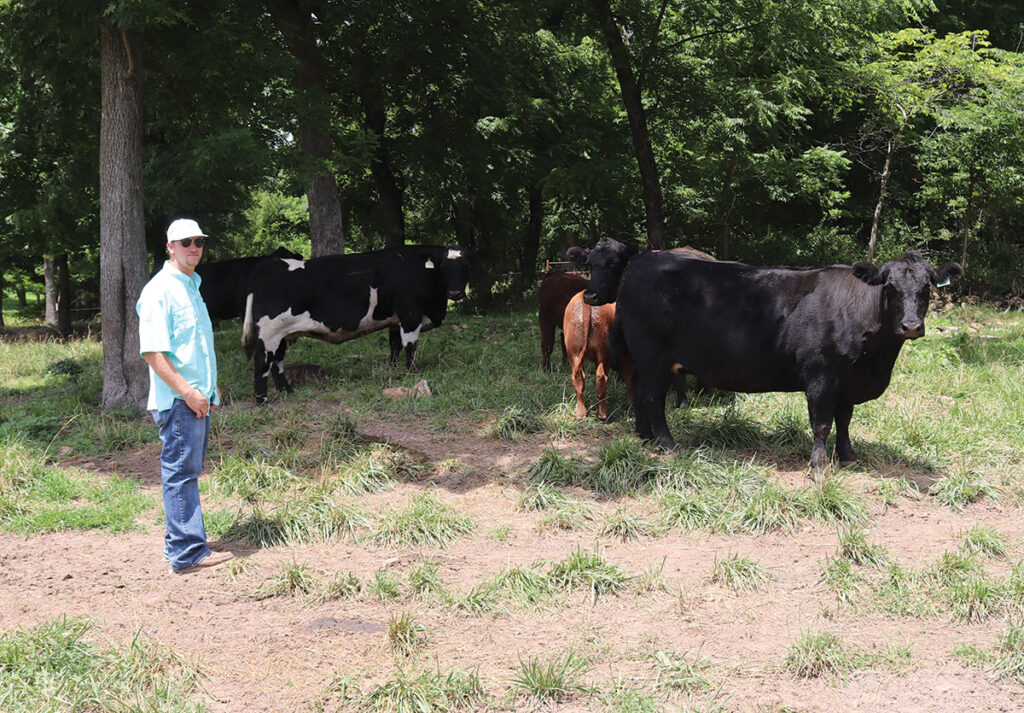 Show-quality cattle may be a part of the Dreyers operation, but it’s not the only focus. Photo by Julie Turner-Crawford. 