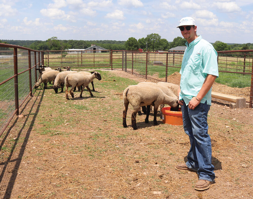 Dreyer Show Stock strives for productive, show-quality animals. Photo by Julie Turner-Crawford. 