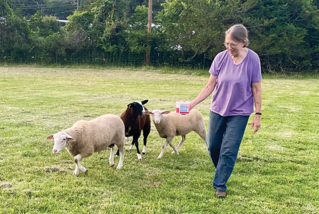 Janette Larson raises sheep and goats with a focus fiber producing animals. Contributed Photo. 