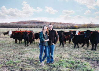 Bringing Beef Full Circle