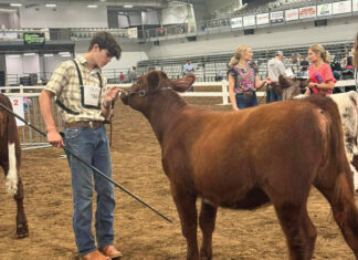 Breeding for More Than Banners