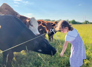 Rooted In Family and Faith