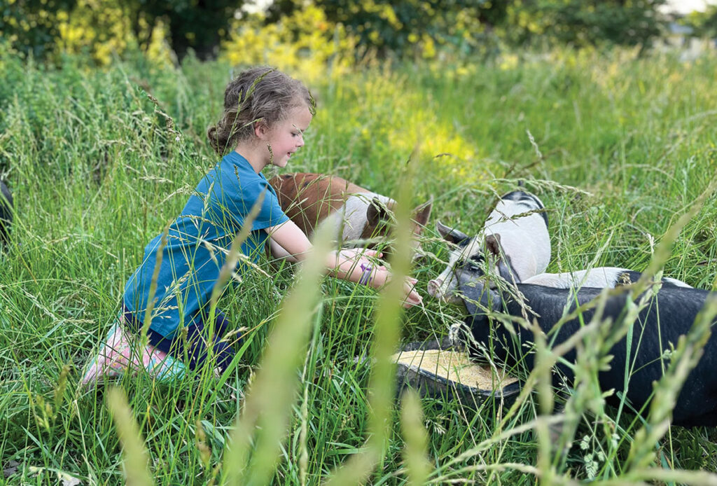 By rotating their animals through pastures and woods, the Bulmanskis enhance the land’s productivity without expanding their acreage. Contributed Photo. 