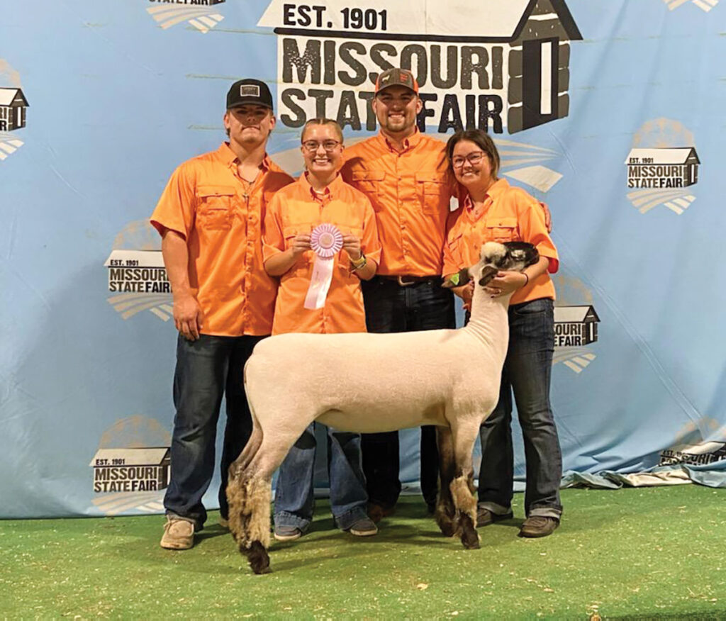 In the late 1980s, Andy Graves started and grew his Hampshire sheep flock while showing at the state level. Throughout the years, his commitment to raising sheep varied due to other priorities such as college and marriage, but today, Graves and his family operate the successful Outlaw Sheep Company. Contributed Photo. 