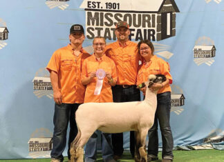 Registered Sheep is a Family Affair