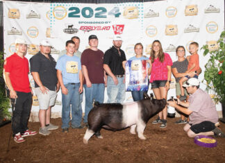 Striving for Success