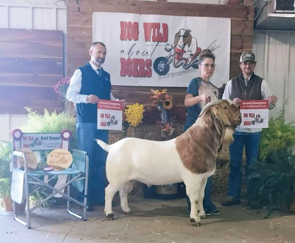 Along with a 30-acre ranch with 60 show goats, the Hicks run Rock’N Heart Dappled Boer Goats in Sulphur Springs Ark. Contributed Photo. 