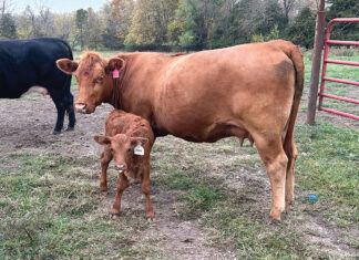 Striking the Right Balance