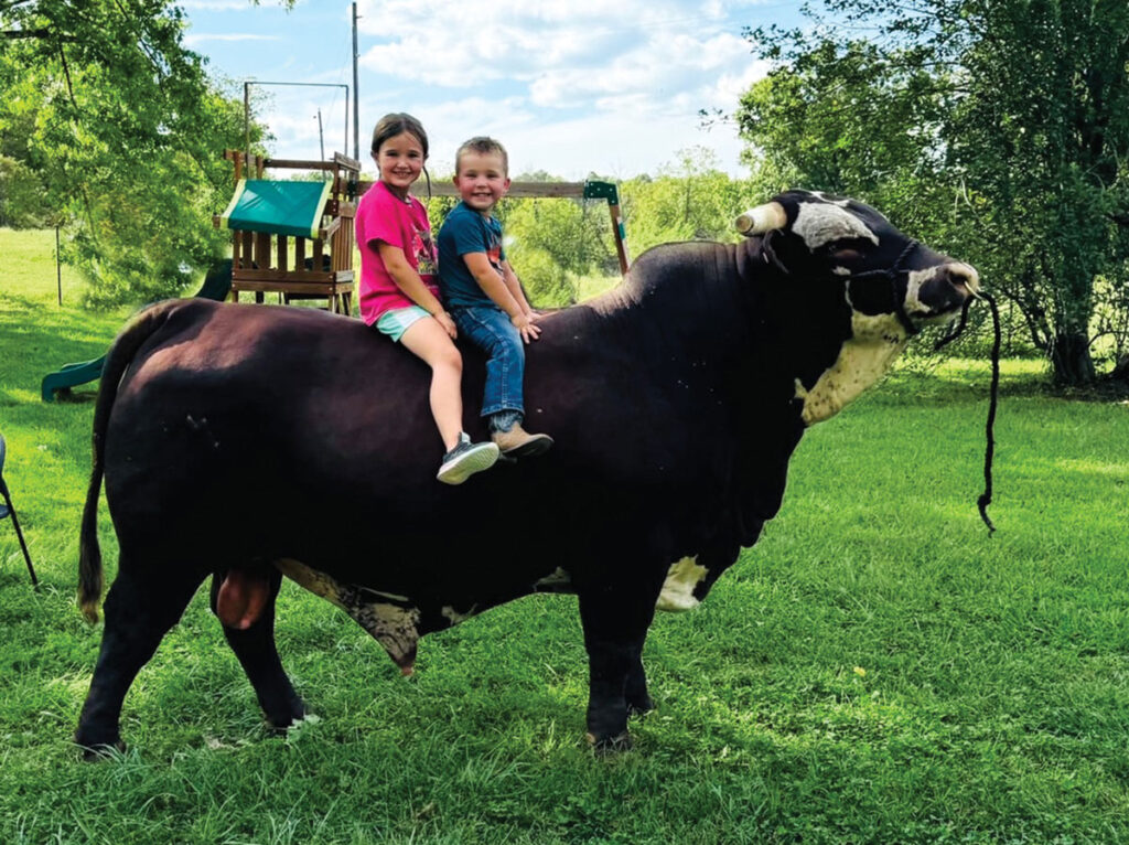 Morse View Farms sells embryos and semen from their championship cows and bulls, and they sell some animals for beef to ‘word of mouth’ customers. Contributed Photo. 