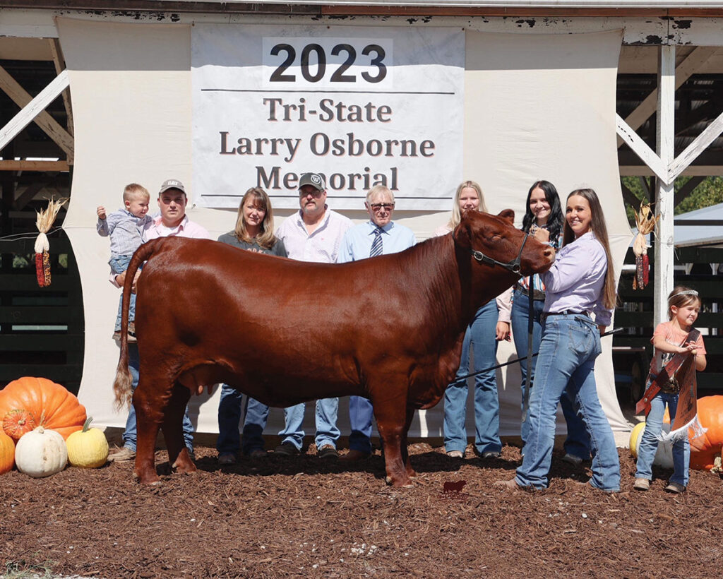 Andrea and Andrew Morse are modern cattle farmers who met on social media and are showing their Santa Gertrudis cattle principally to instill character and responsibility in their children. Contributed Photo. 