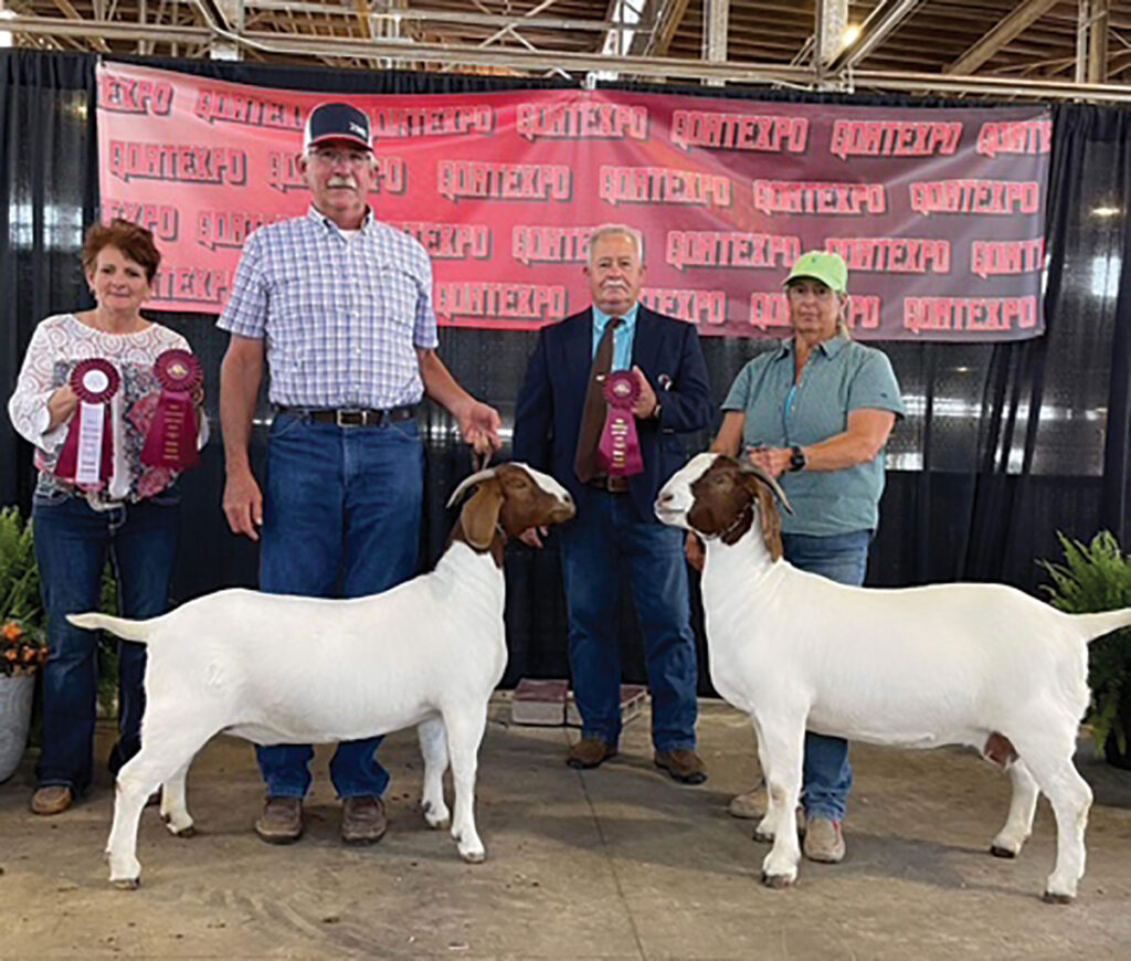 2MS Boer Goats focus on registered replacement stock. Contributed Photo. 