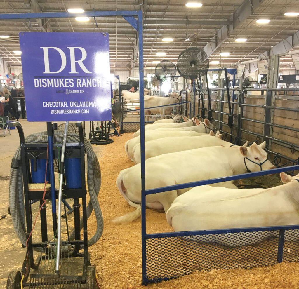 Dismukes Ranch works with Purebred Angus and Charolais cattle. Contributed Photo. 