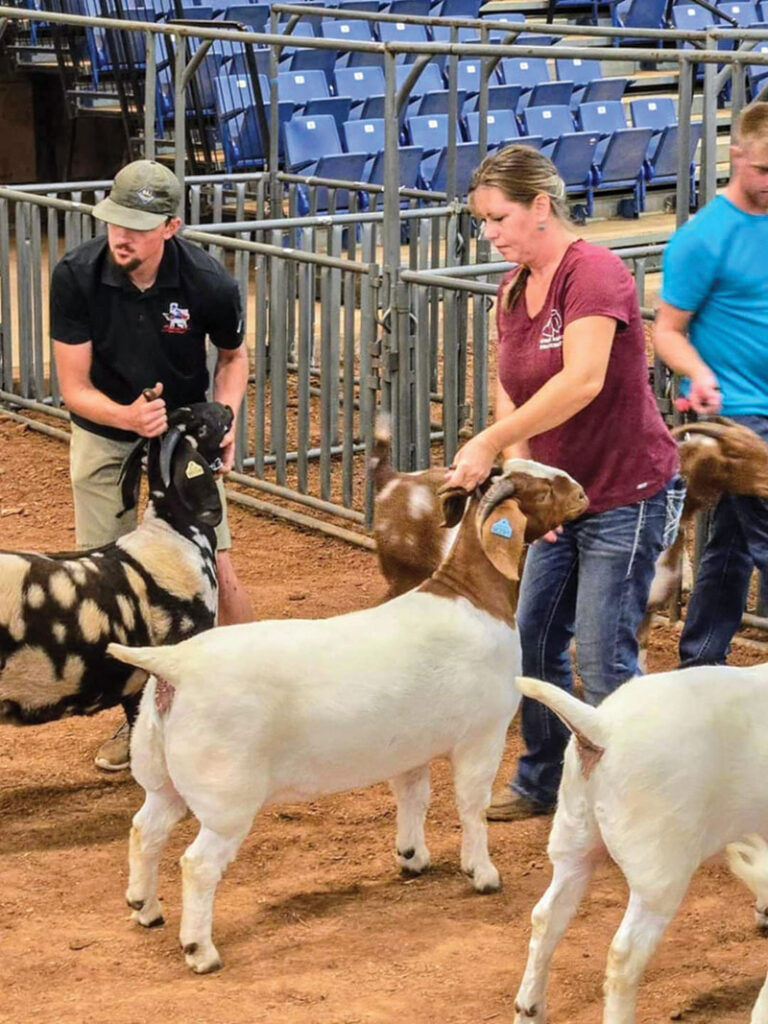 Bernie Boers is active in goat breeding and meat sales but focuses heavily on their show goats. Contributed Photo. 