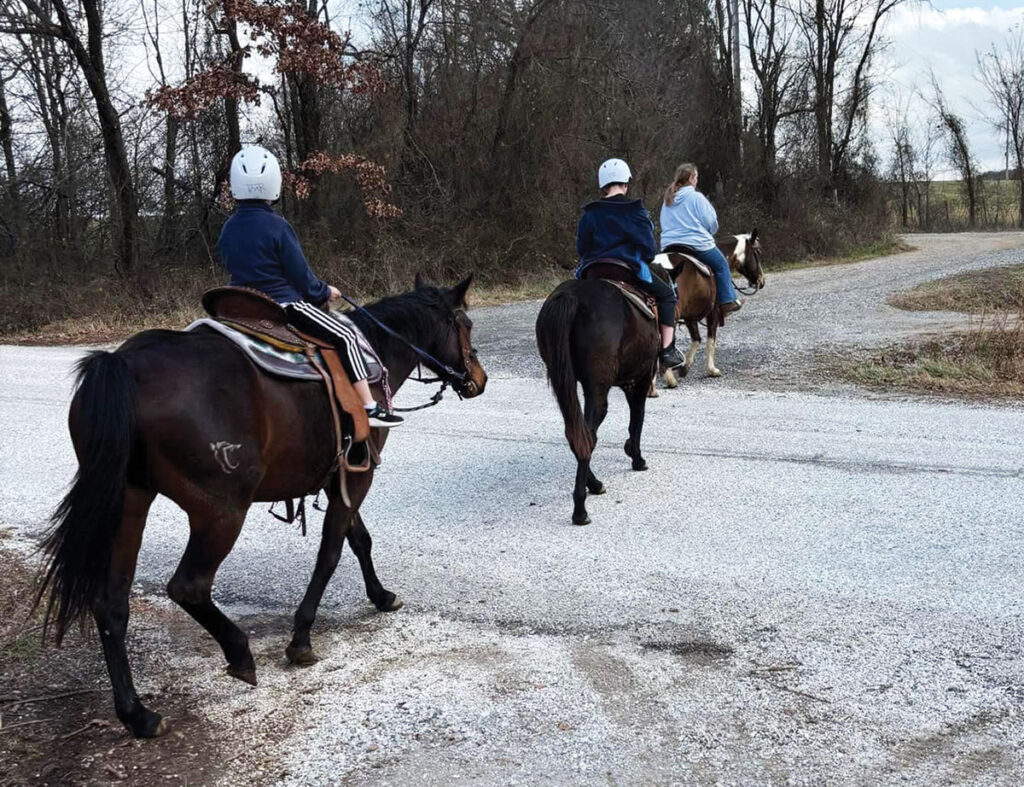 Thunder Mountain Ranch offers trail rides, boarding, training, riding lessons, and breeding in Northwest Arkansas. Contributed Photo. 