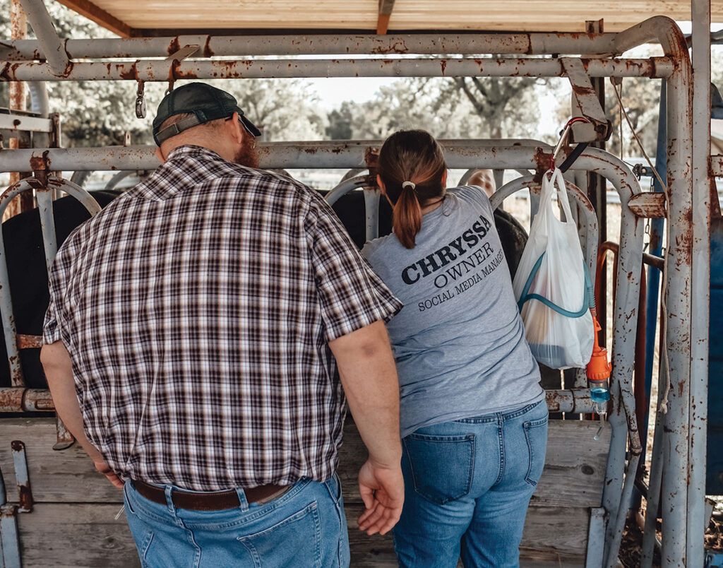 MC Cattle Ranch LLC started with a single cow, gifted by Chryssa’s grandfather, but has increased well beyond that number. Contributed Photo. 