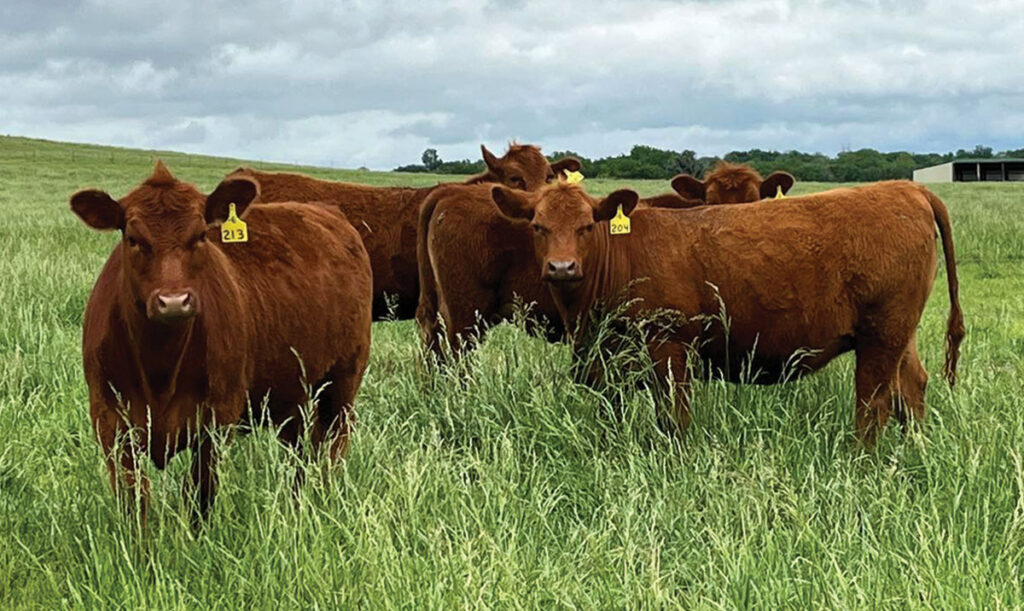 Bar E Ranch maintains a reputation with a combination of quality enterprises. Contributed Photo. 