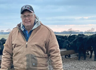 Ever-Evolving Lifestyle