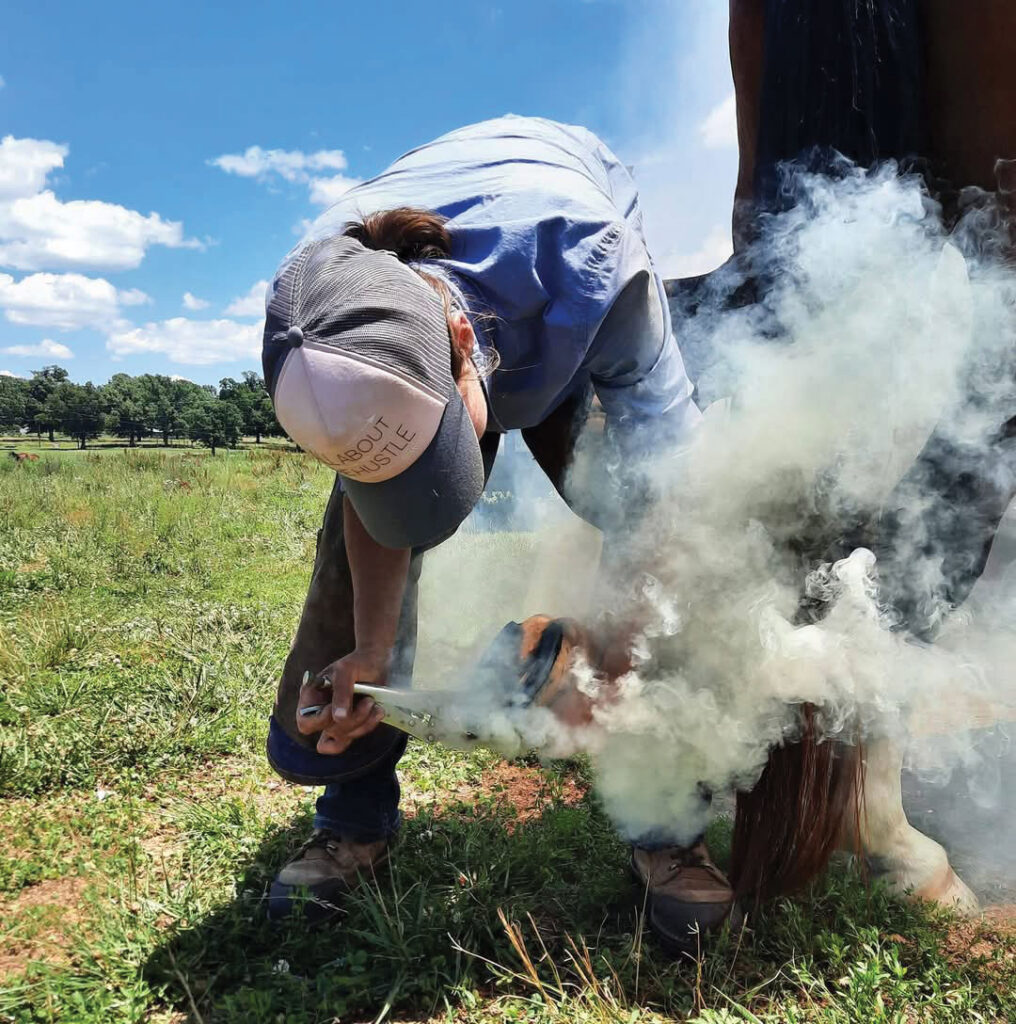 Emma Findahl of Wild Rose Horseshoeing turned her love of horses into a growing business. Contributed Photo. 