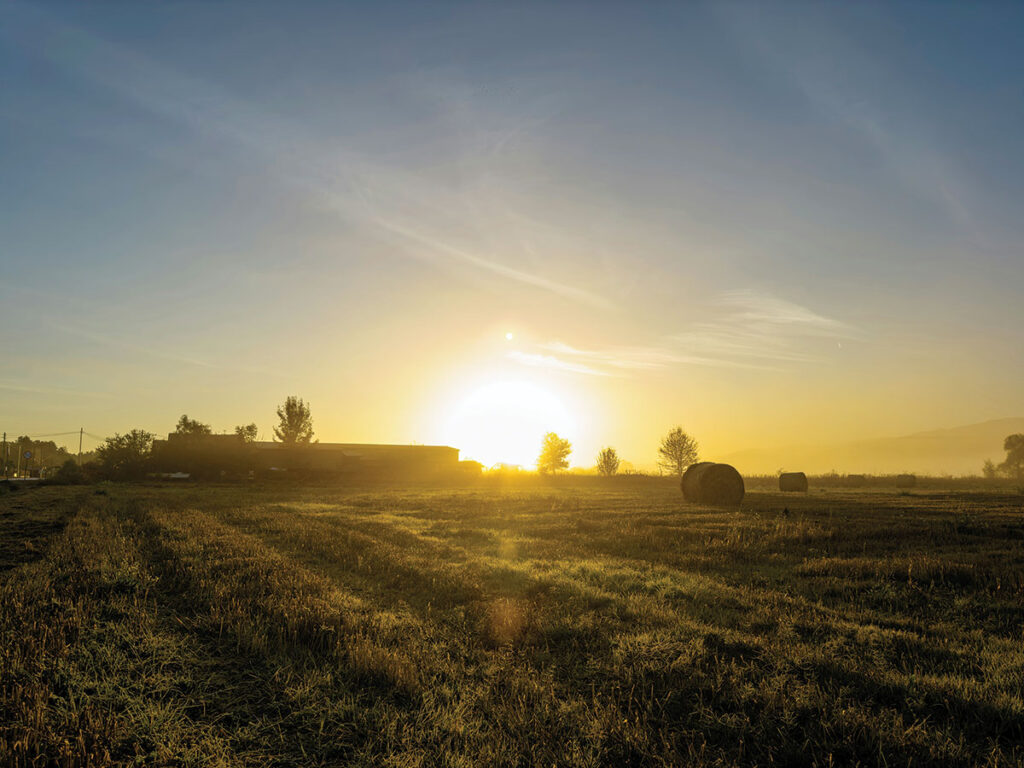 Knowing the signs and symptoms and how to protect against heat-related illness will help you when working in the high temperatures of summer. Photo from unsplash.com 