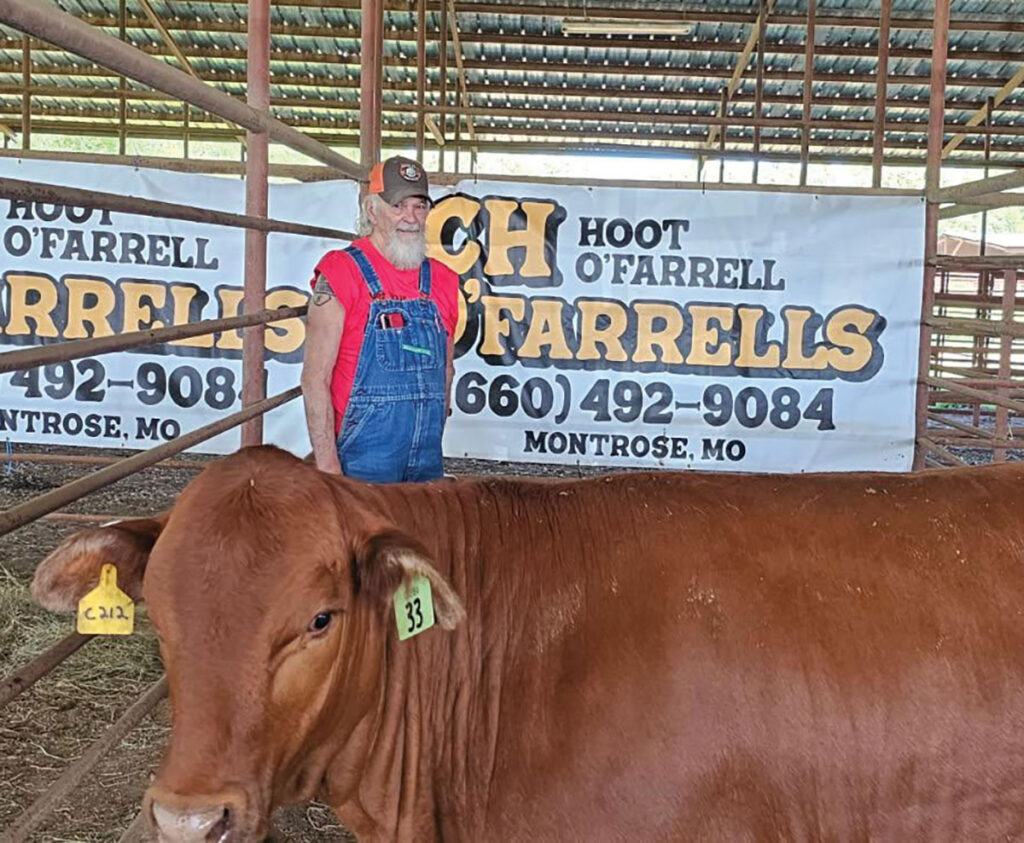 Hoot O’Farrell has found a breed of cattle that suits his lifestyle. Contributed Photo. 
