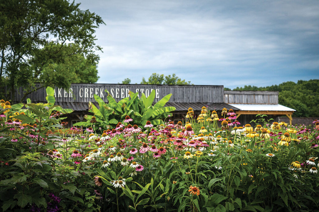 “Baker Creek is the most biodiverse heirloom farm in Missouri, and perhaps the U.S.”, Johnson said. Gettle’s initial festival Spring Planting Festival was in 2000, before the historic-looking Ozark Style Village was built in 2006. Contributed Photo. 