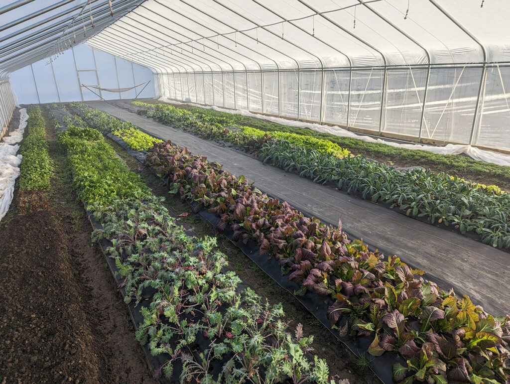 It has been said “When you have more than you need, build a longer table, rather than a higher fence.” This is the philosophy of Kat Robinson who owns and operates Robinson Ranch, a certified regenerative farm located in Bixby, a suburb of Tulsa, Oklahoma. Contributed Photo. 