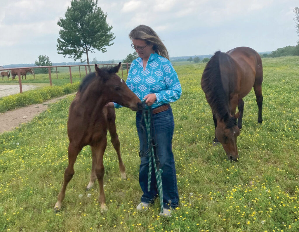 Lybyer served as the veterinary doctor for two Missouri sale barns – the Norwood Producers Auction Yard and the Ozarks Regional Stockyards – where Mottesheard crossed his path. Eventually, she was hired by Lybyer and began absorbing animal husbandry and healthcare like a sponge. Photo by Debbie Elder. 