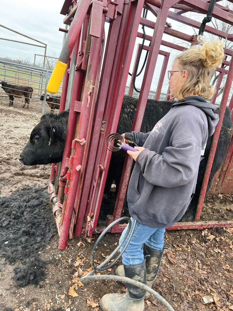Our Place Angus is known for its registered seedstock, selling quality Angus bulls and females. Contributed Photo. 