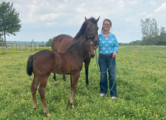 Work Hard and Take Chances