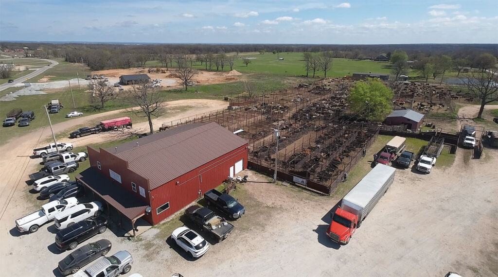 Delaware County Stockyards auctions approximately 3,000 animals per month; the busiest times at the venue, according to Simmons, are the spring and fall when the annual horned cattle sales are held, with a range of 1,200 to 1,800 head being auctioned. Contributed Photo.