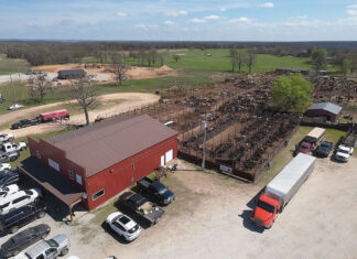 Delaware County Stockyards