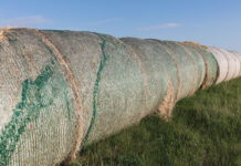 Net Wrap: Friend or Foe