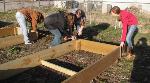 Rural youth learn homegrown leadership through MU Extension 4-H program Photo