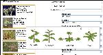 Know your enemy: MU website helps ID common weeds Photo