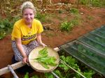 MU student helps develop agriculture in Mozambique Photo