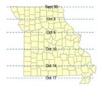 Harvest delays affect wheat planting Photo