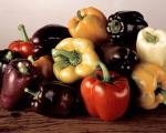 Growing sweet peppers Photo
