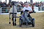 4-H helps Stonger and his sheep steal the show at state fair Photo
