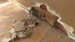 Scams and fraud add insult to injury after a disaster Photo
