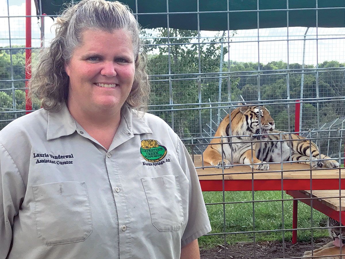 A Walk on the Wild Side