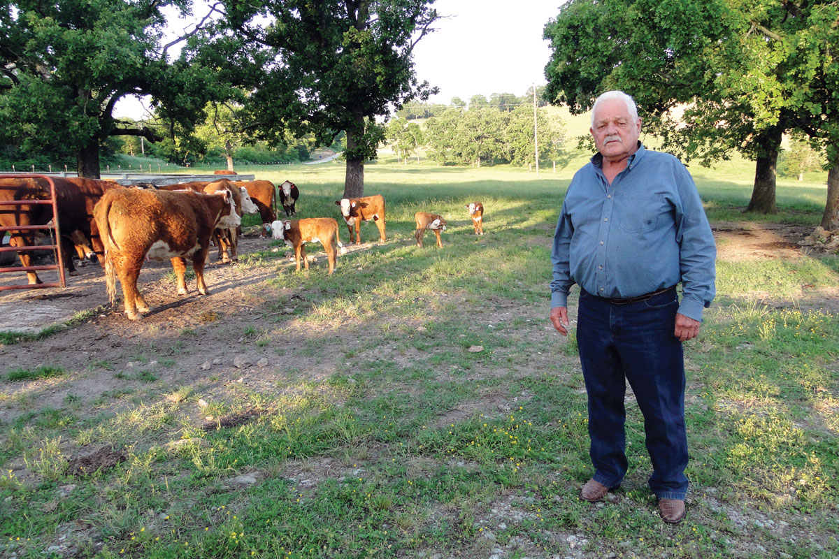 Growing an Operation a Piece at a Time