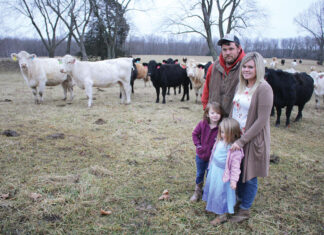 Diversity Creates Options